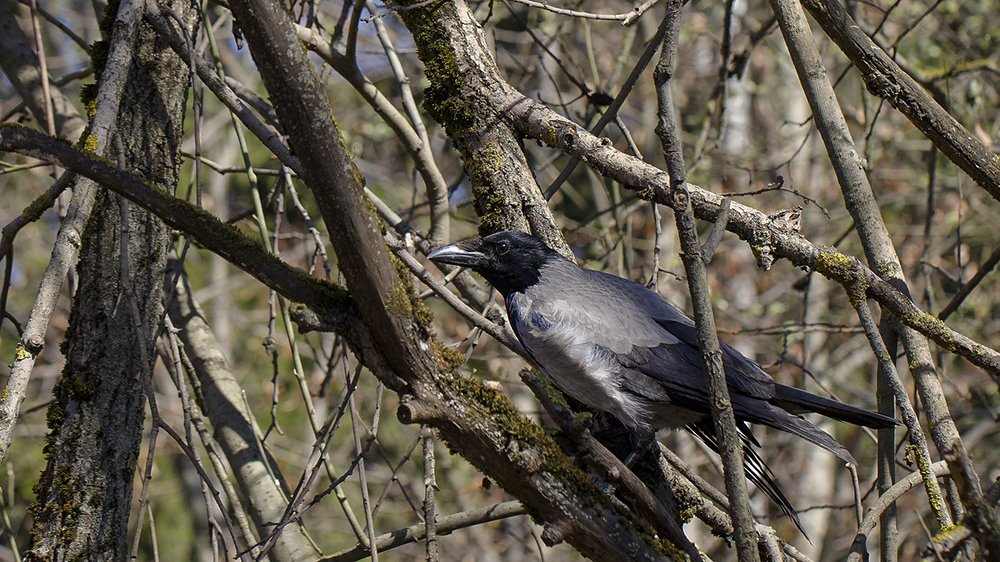 Photograph by Евгений Барзенков