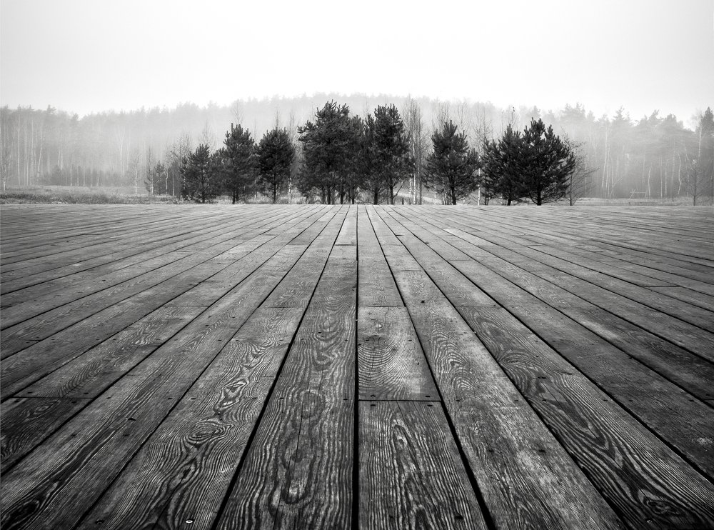 Photograph by Елена Ржевская