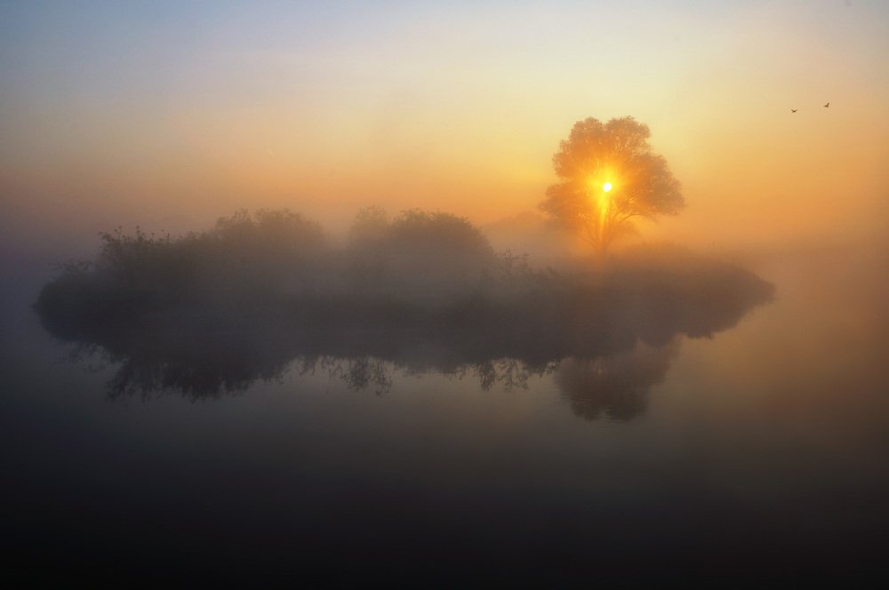 Photograph by Виктор Босак