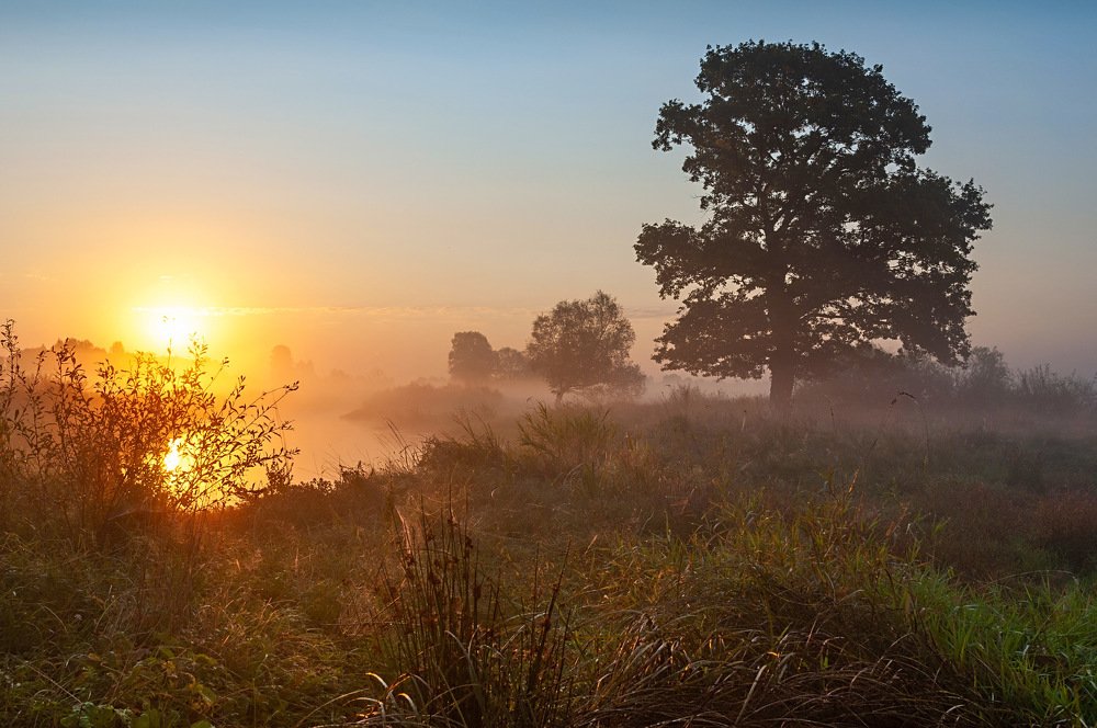 Photograph by Виктор Босак