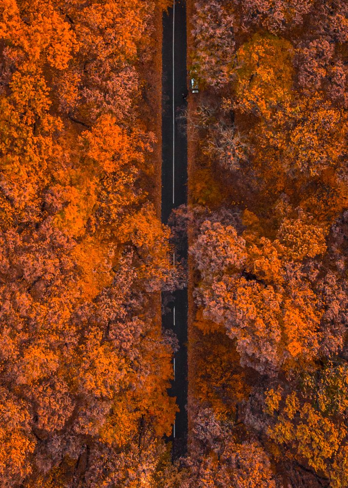 Photograph by Sergiu Vasile Bejan