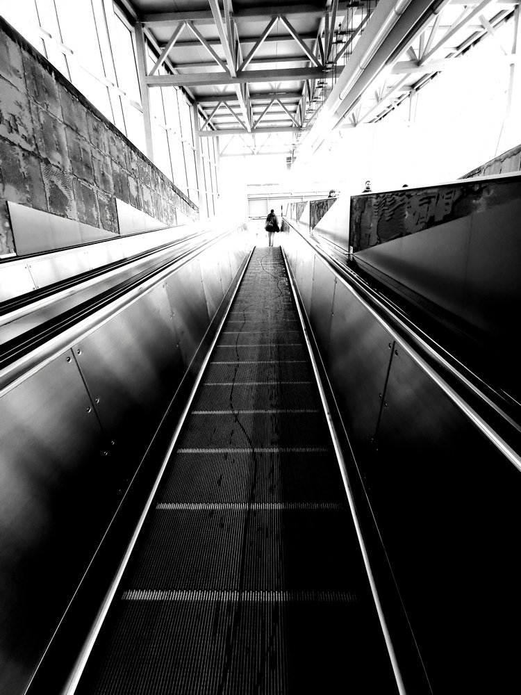 Photograph by Alb Traum