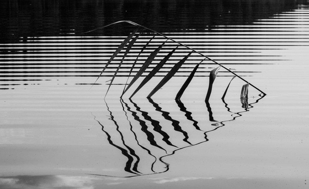 Photograph by Yana Kaziulia