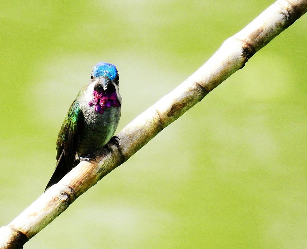 Photograph by Li Chuan Lin