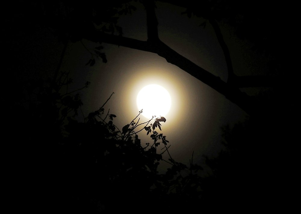 The moon