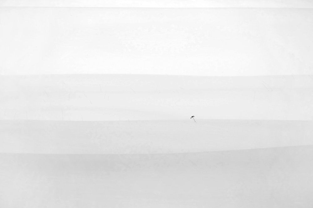 Фотография автора senjor