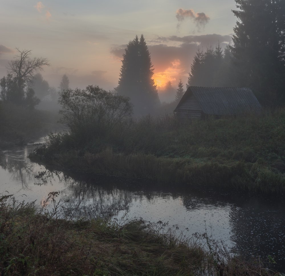 Робкий рассвет