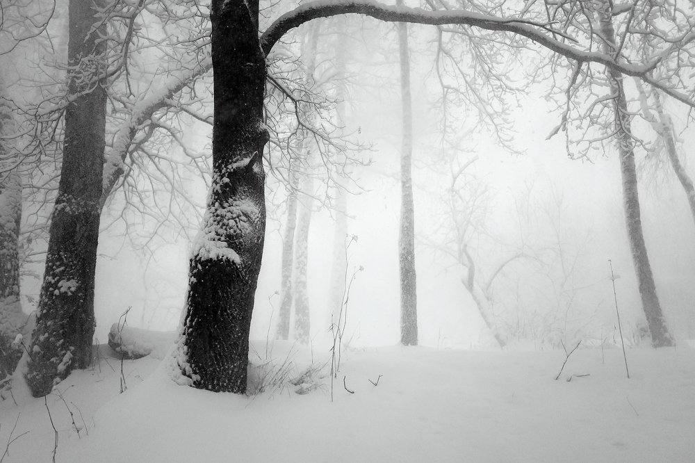 Фотография автора senjor