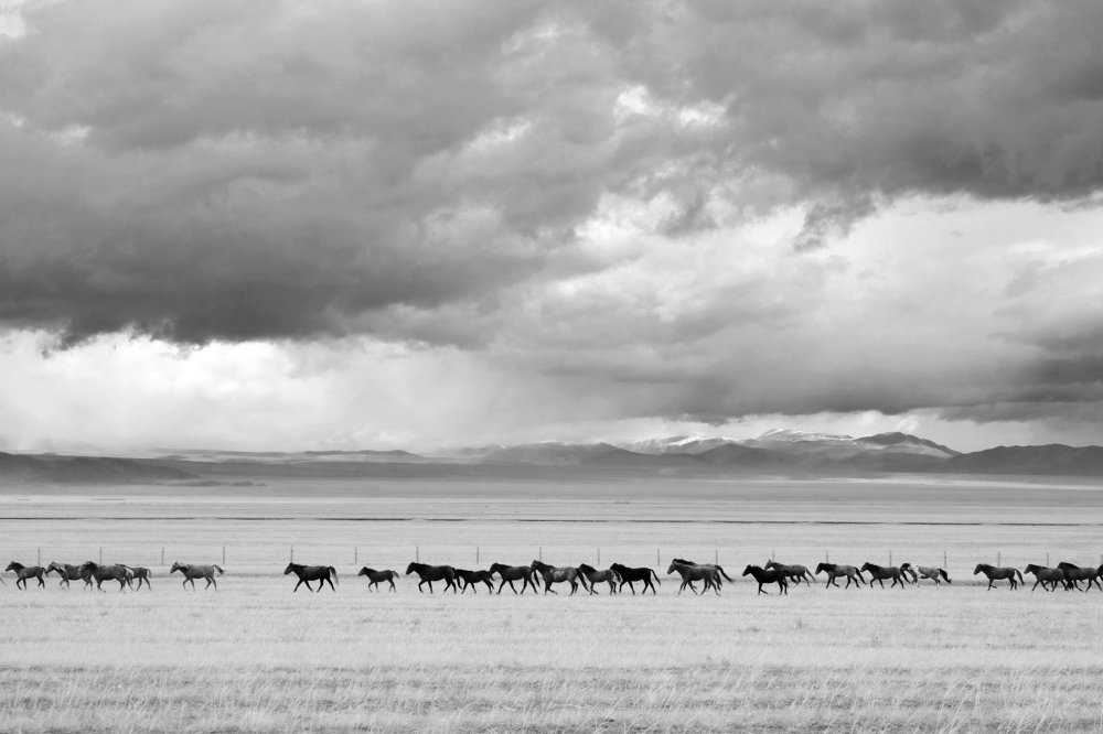 Фотография автора senjor