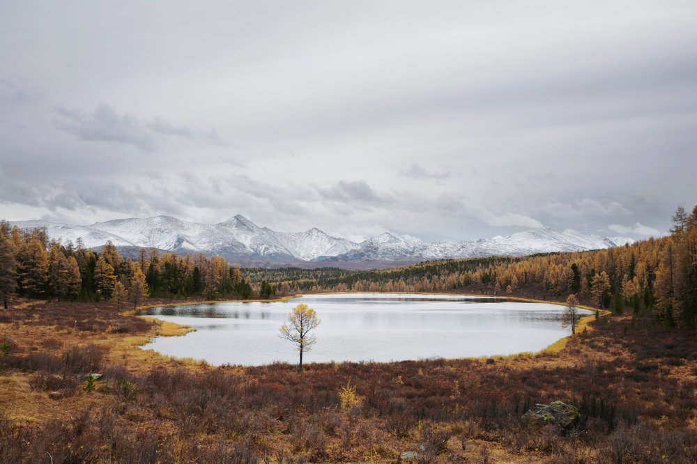 Фотография автора senjor