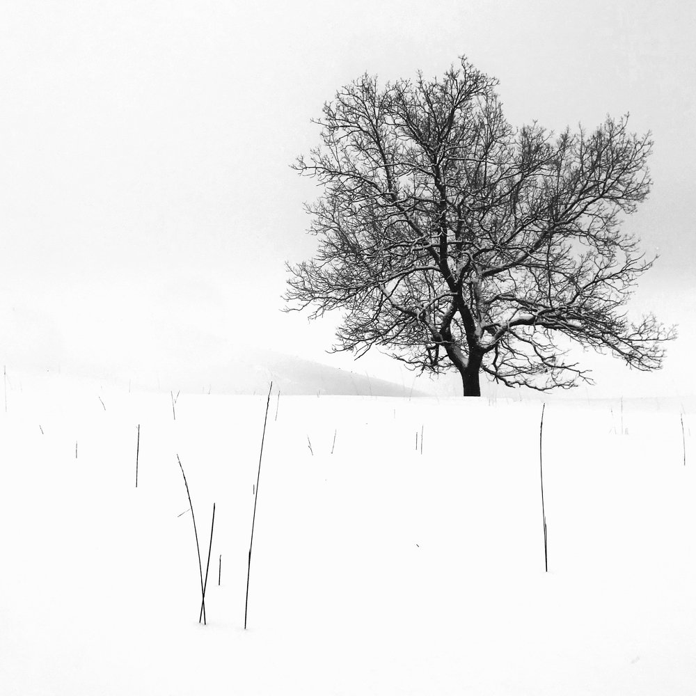 Фотография автора senjor