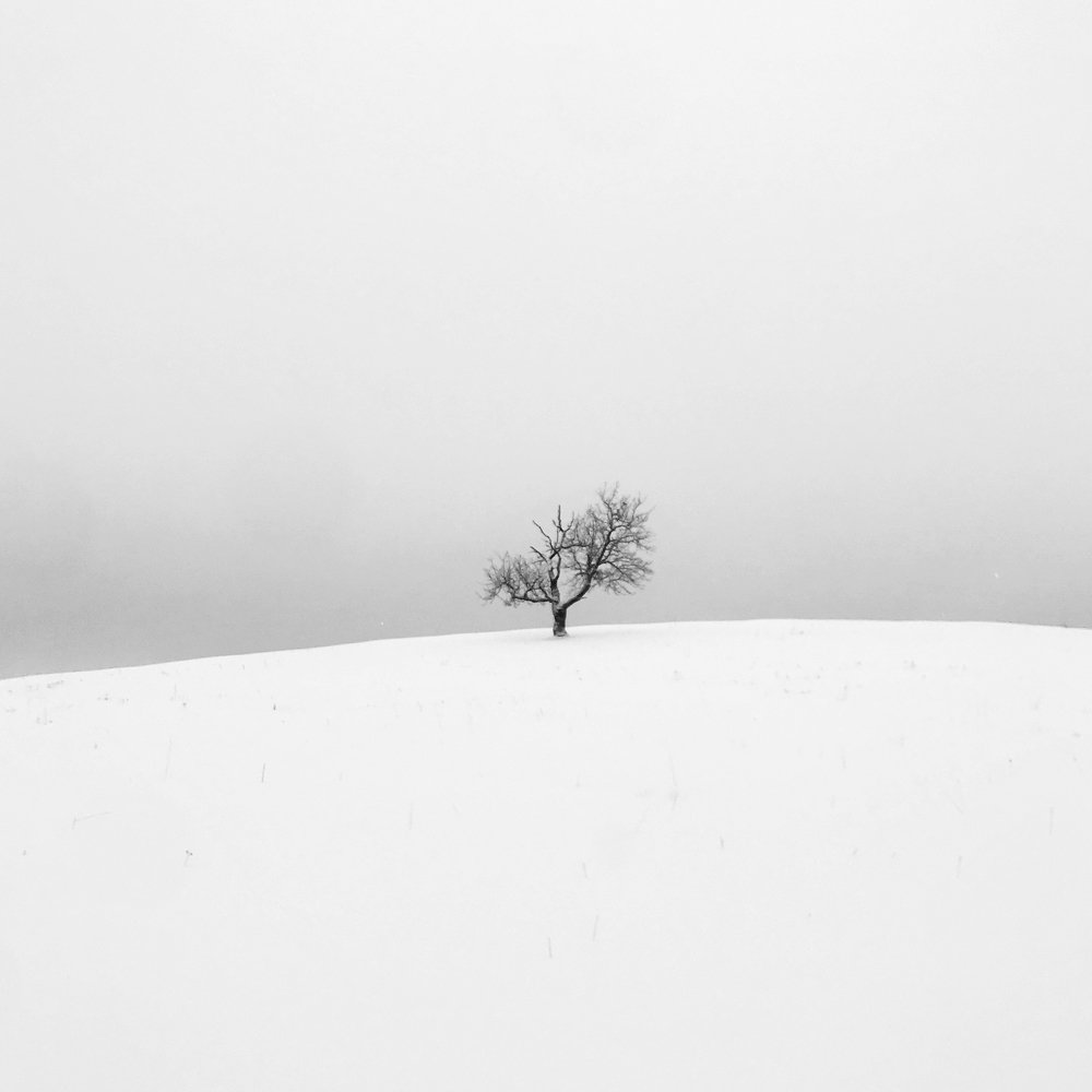 Фотография автора senjor