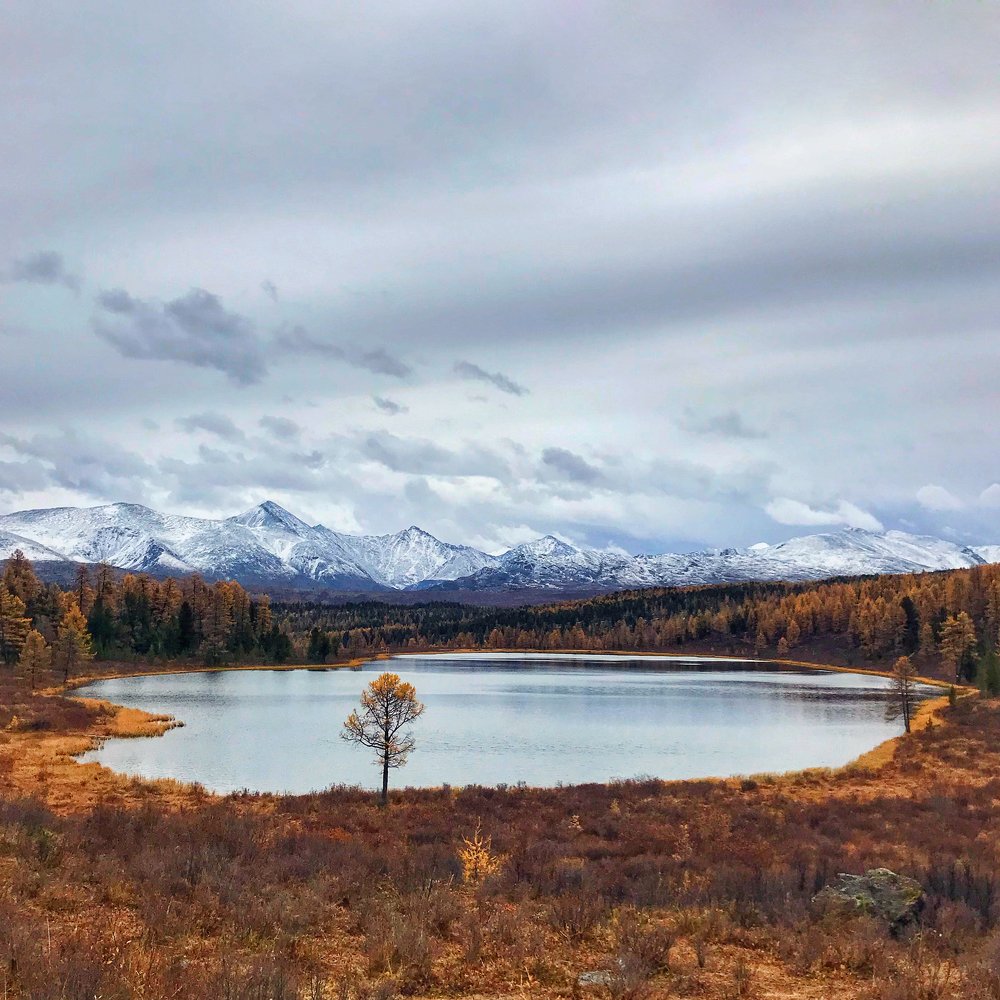 Фотография автора senjor