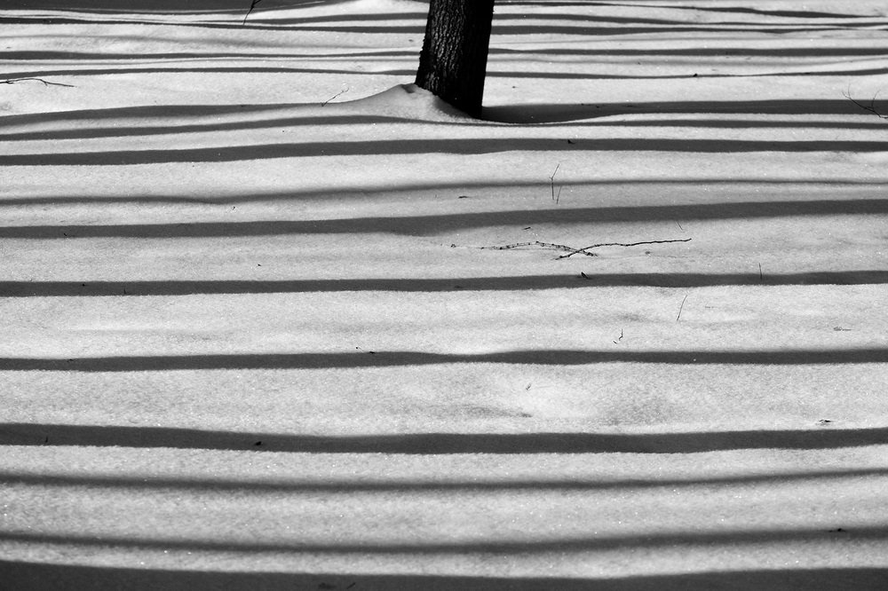 Фотография автора senjor