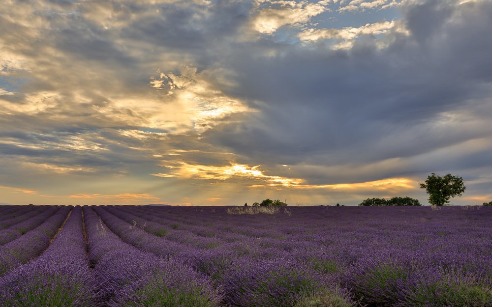 Photograph by Евгения Чех
