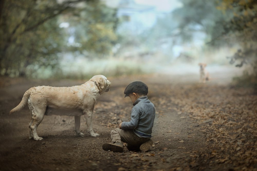 Photograph by Липатова Анна