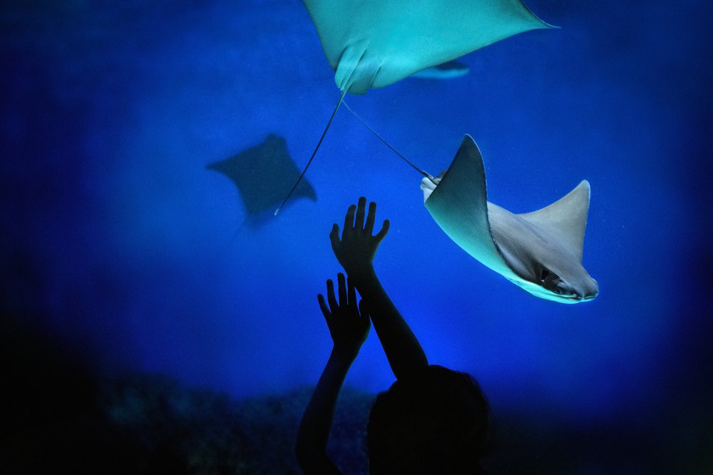 Photograph by Алиция Юсупова - Alicja Yusupova