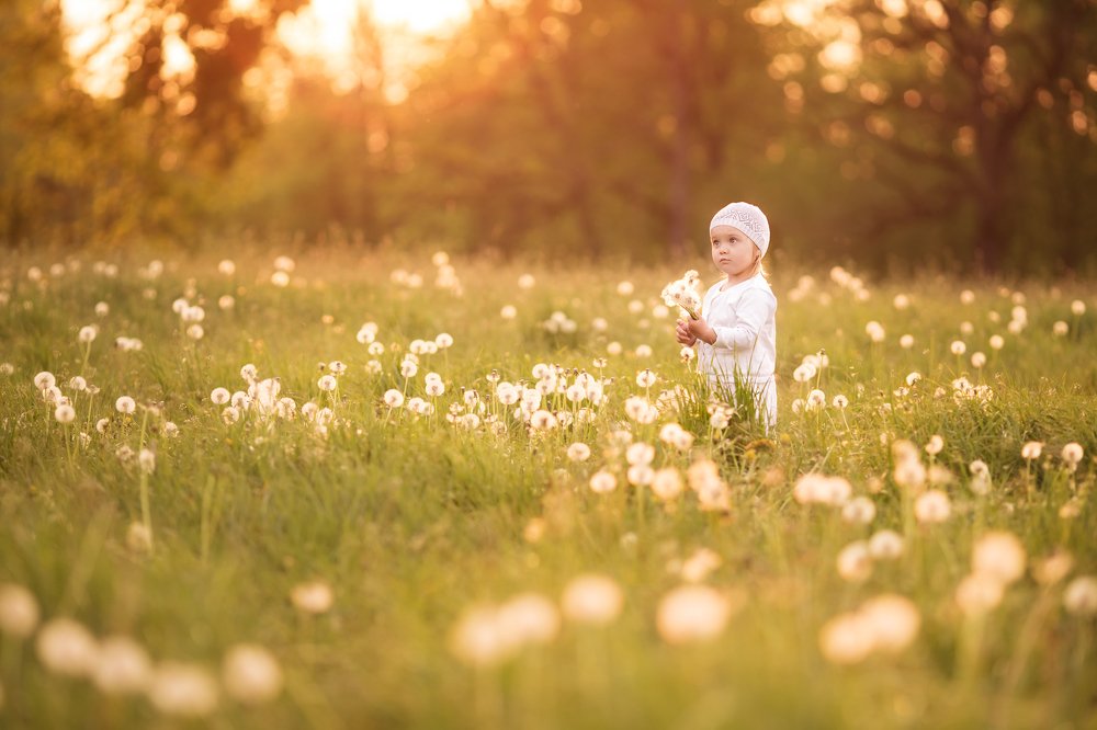 Photograph by Любовь Силантева