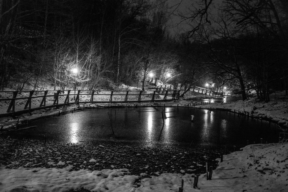 Photograph by Szilveszter Zoltan