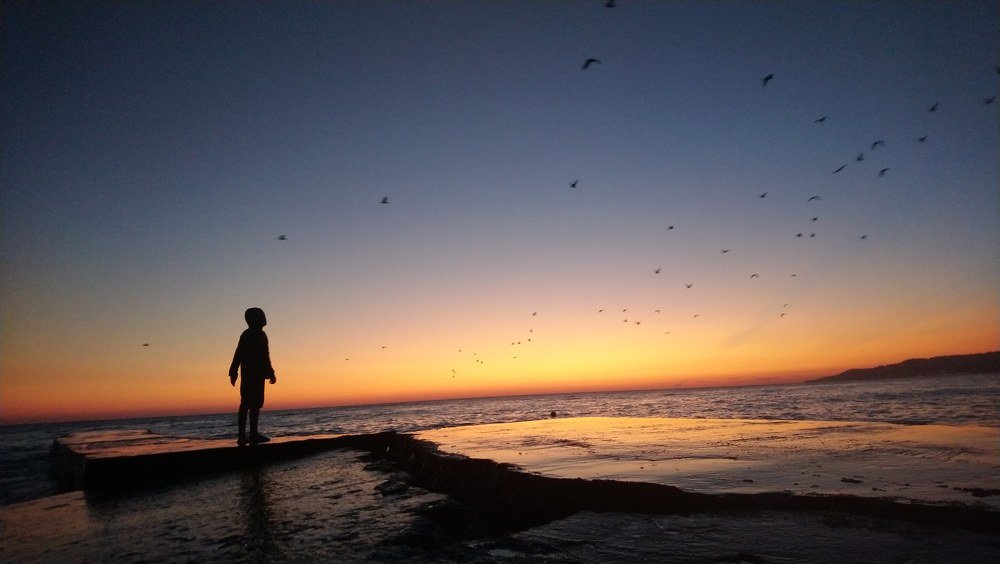 Photo #4349678