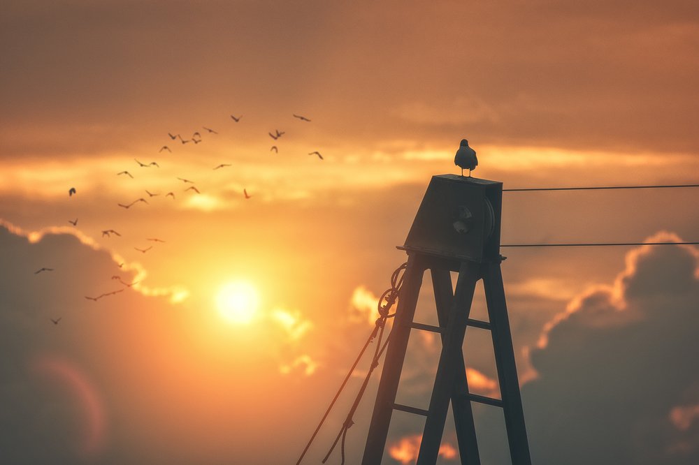 Photograph by PhotoGraf Lewiathan