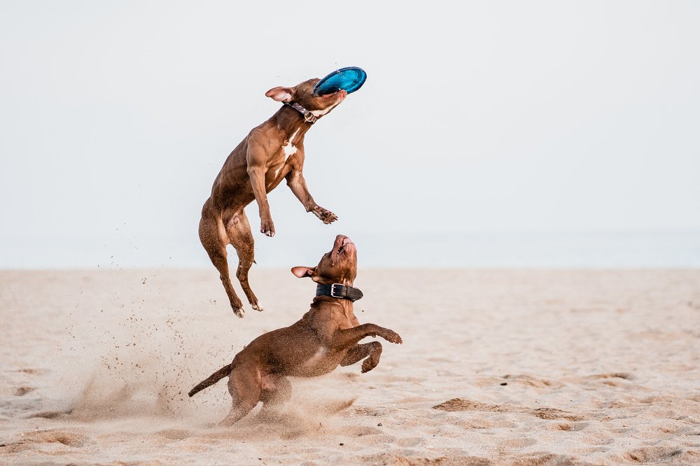 Photograph by Наталья Брежнева