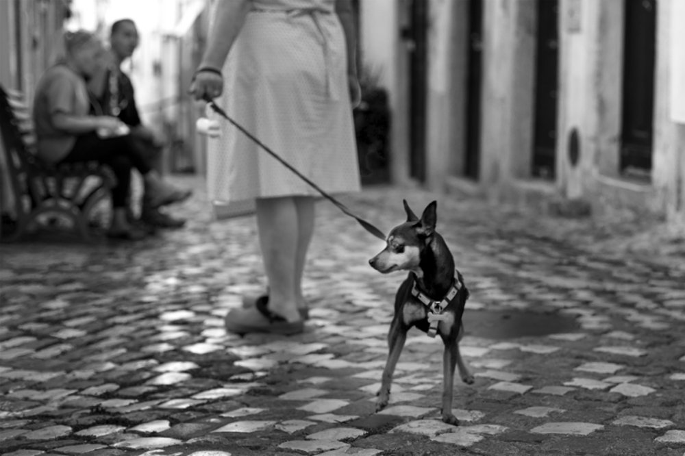 Photograph by Marina Tennefoss