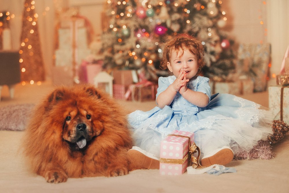 Photograph by Наталья Брежнева