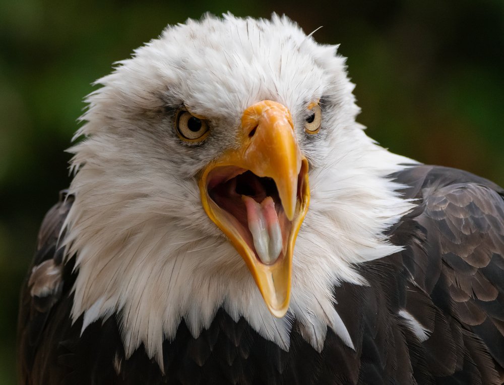 Фотография автора MARIA KULA