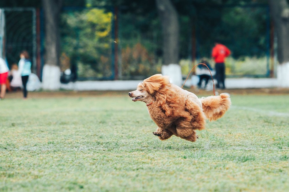 Photograph by Наталья Брежнева