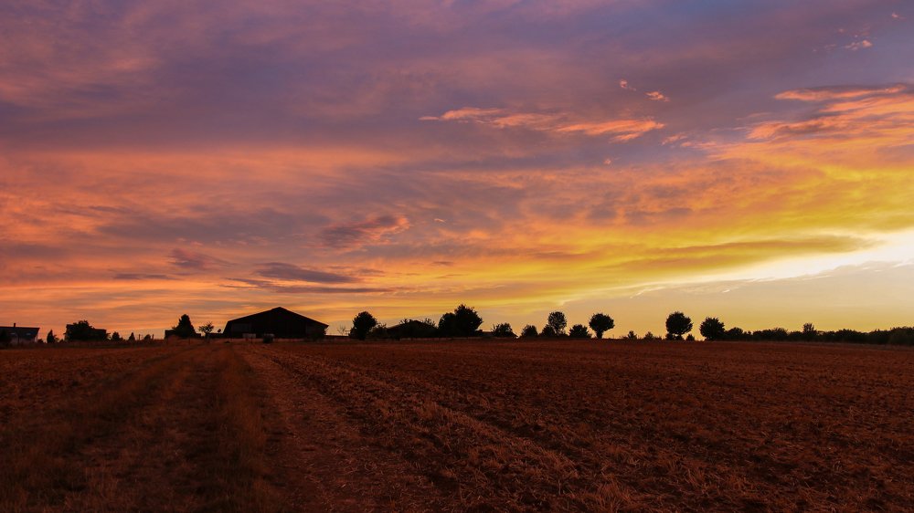 Photograph by Dharmaraj Ranabhat