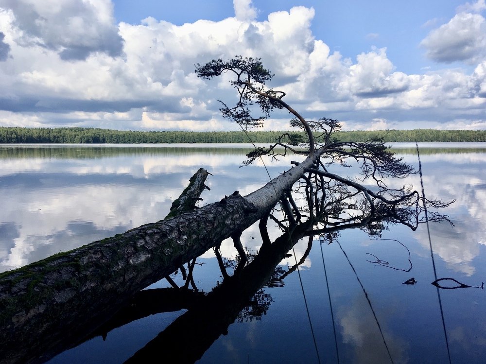 Photograph by Денис Марченко