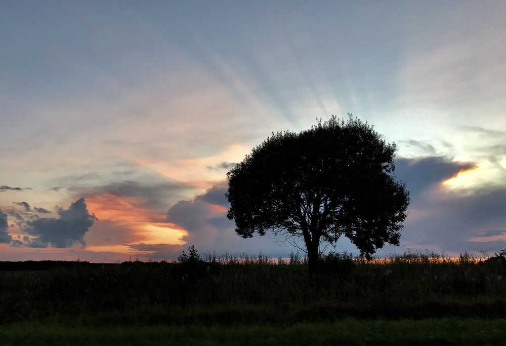 Photograph by Лисовой Максим