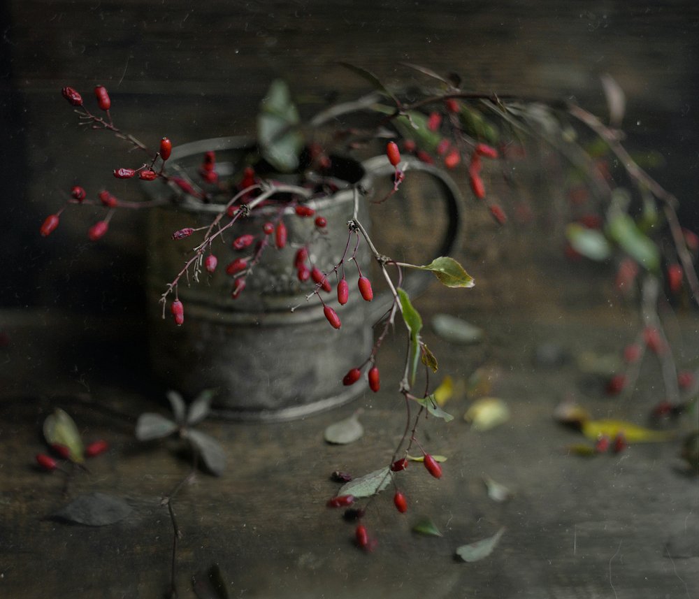 барбариски*