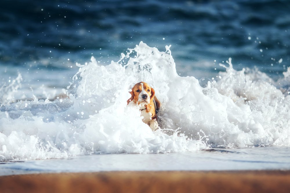 Photograph by Наталья Брежнева