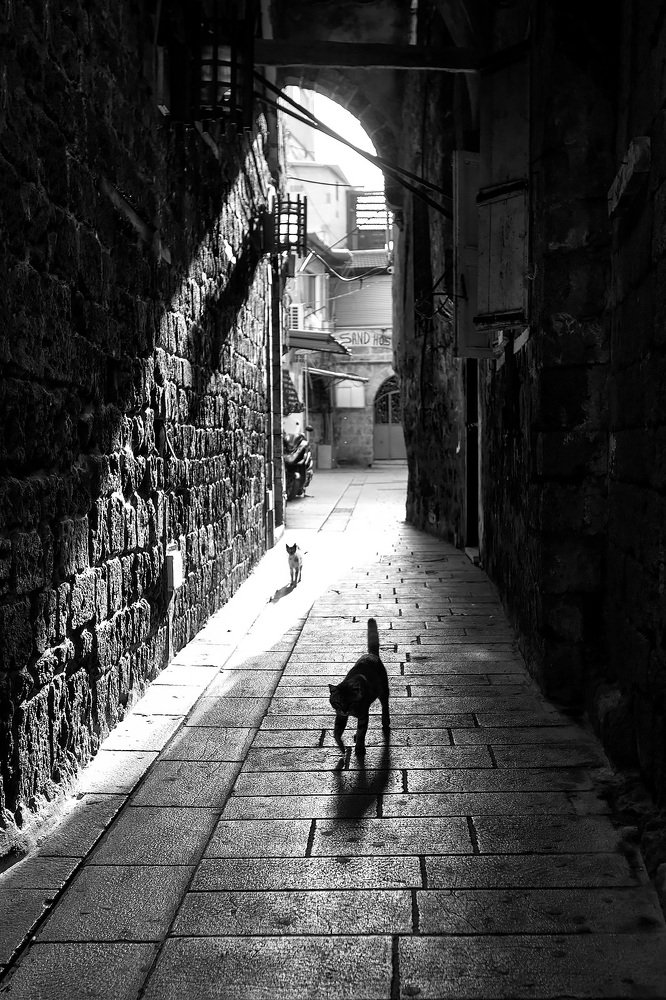 Photograph by Мария Тяпкова