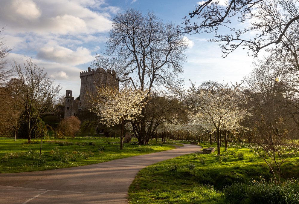 Photograph by Tatiana Gladchenko