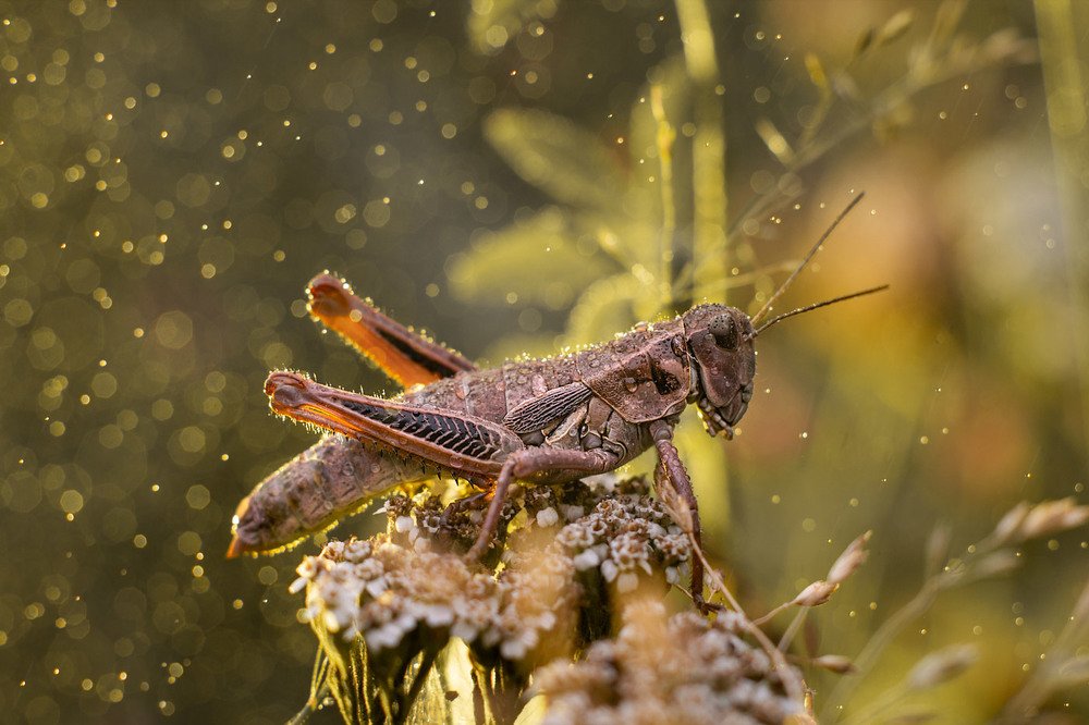 Photograph by Ксения Шевчук