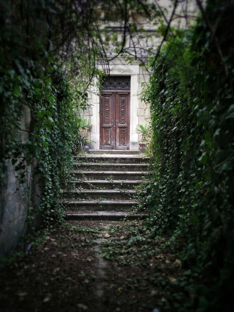 Photograph by Fernando Silva