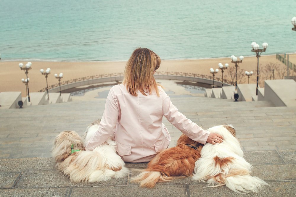 Photograph by Наталья Брежнева