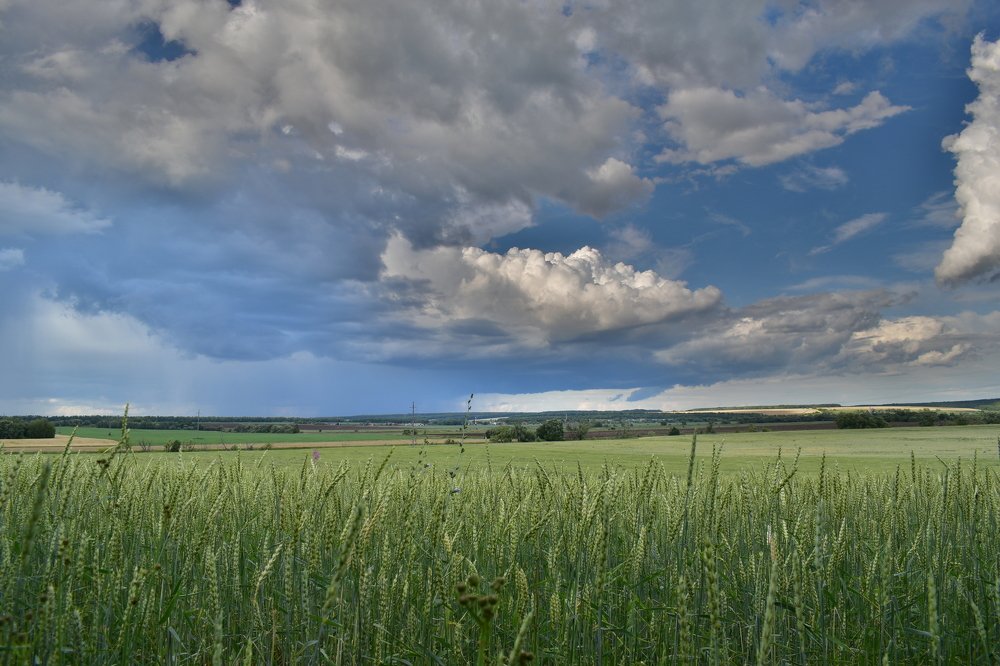 Photograph by Татьяна Шевцова