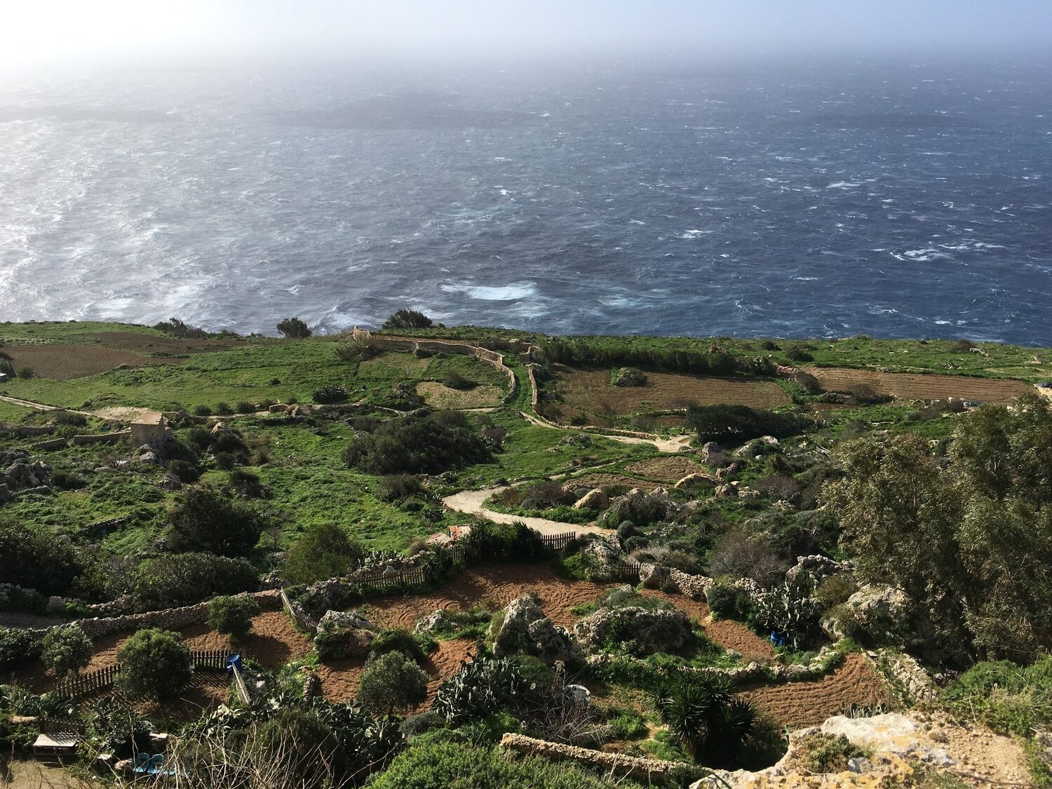 Dingli Cliffs, Malta