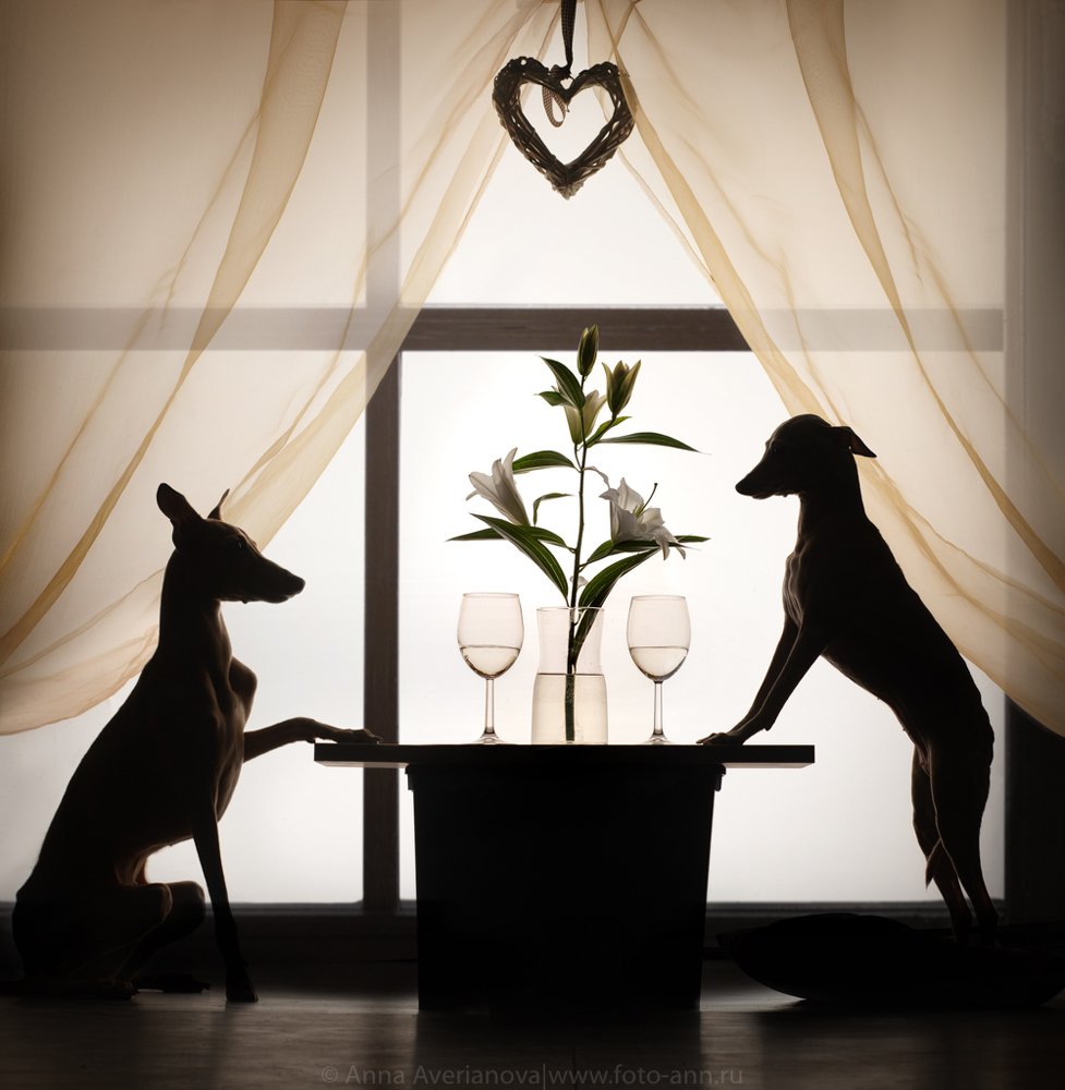 Photograph by Анна Аверьянова