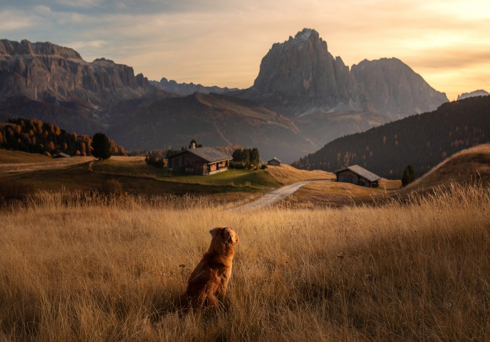 Photograph by Анна Аверьянова