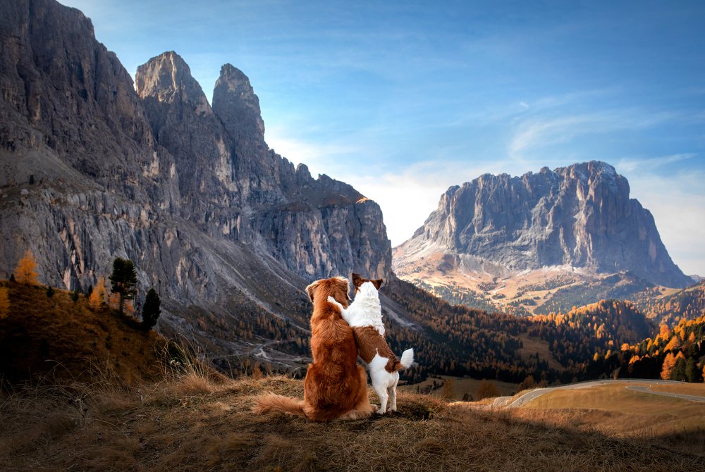 Photograph by Анна Аверьянова