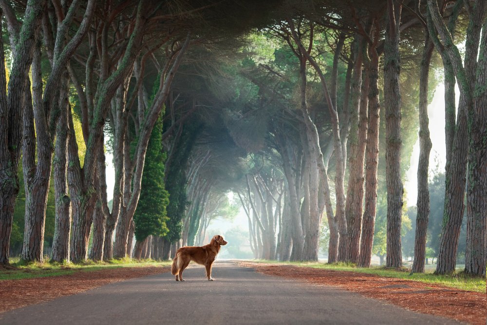 Photograph by Анна Аверьянова