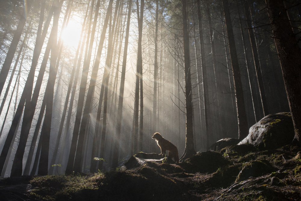 Photograph by Анна Аверьянова