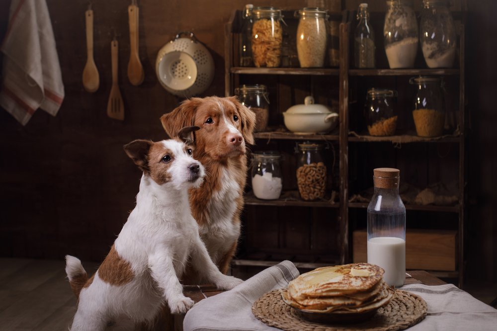 Photograph by Анна Аверьянова