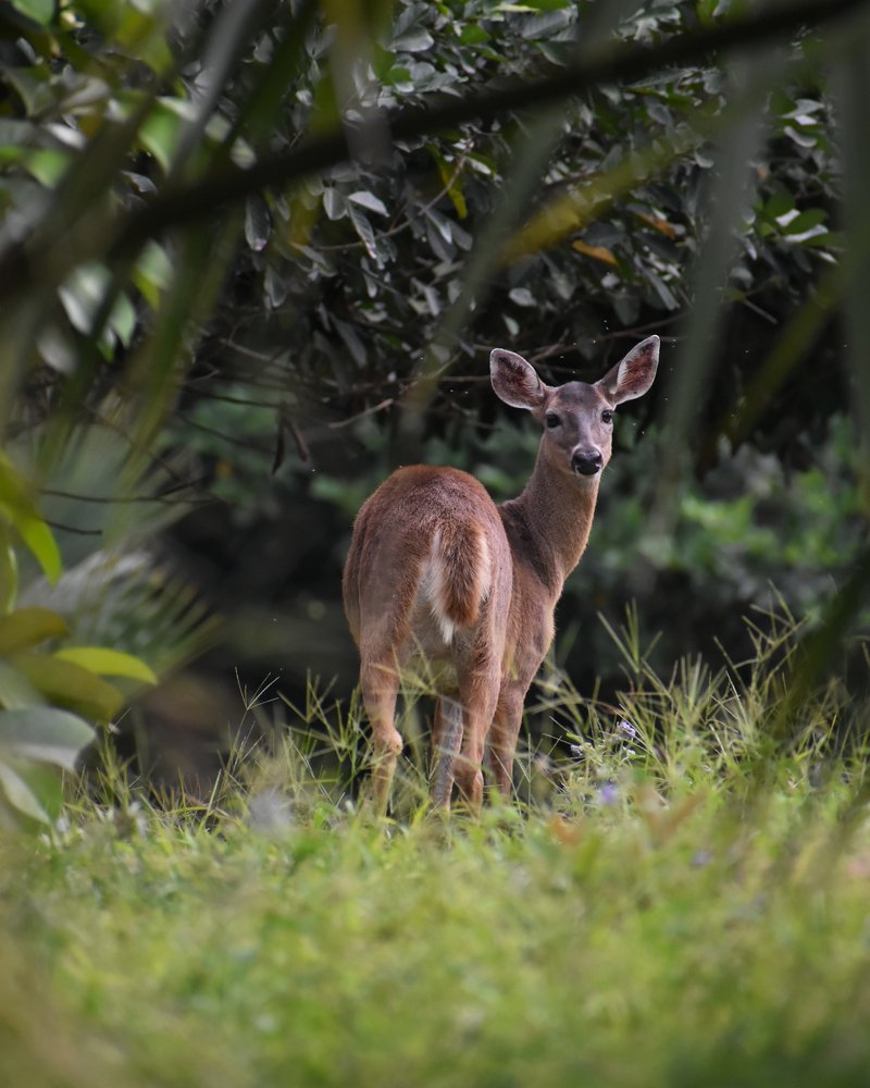 Photograph by Manuel Galindo