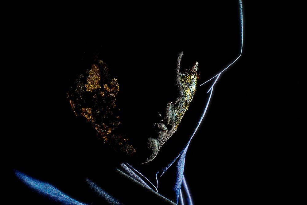 Photograph by Татьяна Предеина